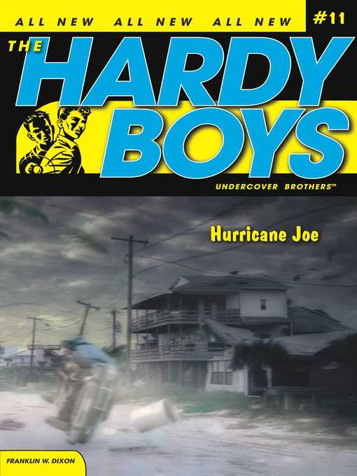 Title details for Hurricane Joe by Franklin W. Dixon - Available